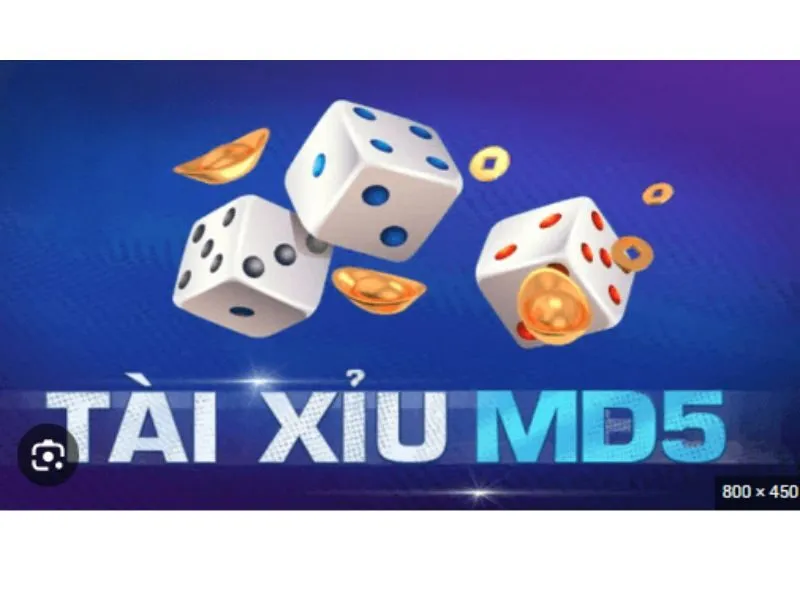 Tại sao nhiều người nghi ngờ game tài xỉu online có bịp không